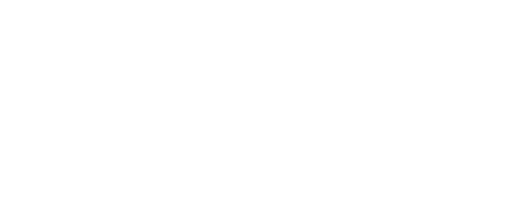 Reality Language